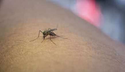 Россияне скоро заплатят собственной кровью за&nbsp;холодную и&nbsp;снежную зиму