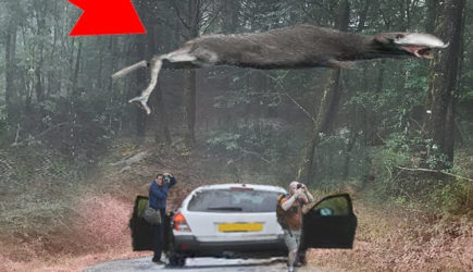 Пропавшую в глухом лесу женщину спасло мистическое чудо