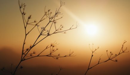 Золотые круги на небе: почему 4 апреля нужно обязательно посмотреть на солнце, чтобы разбогатеть