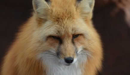 Кошелек опустеет вмиг: роковая ошибка 27 апреля, которая обречет вас на нищету