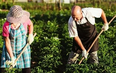 Важное дело предстоит сделать владельцам дач